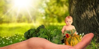L’alimentation à adopter pendant la grossesse