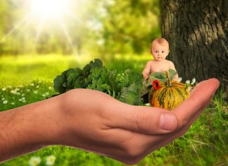 L’alimentation à adopter pendant la grossesse