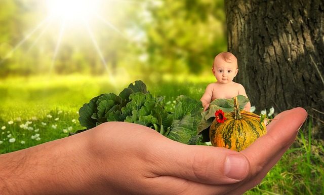L’alimentation à adopter pendant la grossesse