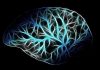 Les bienfaits de la distraction pour le cerveau