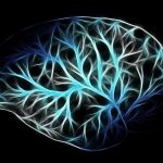 Les bienfaits de la distraction pour le cerveau