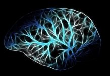 Les bienfaits de la distraction pour le cerveau