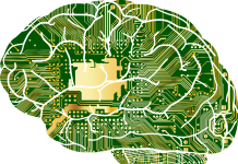 Les impacts des écrans sur le cerveau