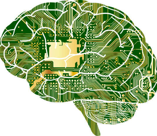 Les impacts des écrans sur le cerveau