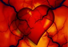 Les causes de la crise cardiaque qu’il est important de connaître