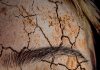 Les astuces pour soigner la peau sèche naturellement