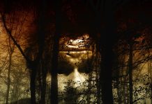 Les remèdes naturels pour combattre la phobie