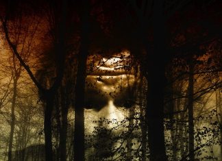 Les remèdes naturels pour combattre la phobie