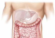 Les bonnes habitudes utiles à la santé de son foie